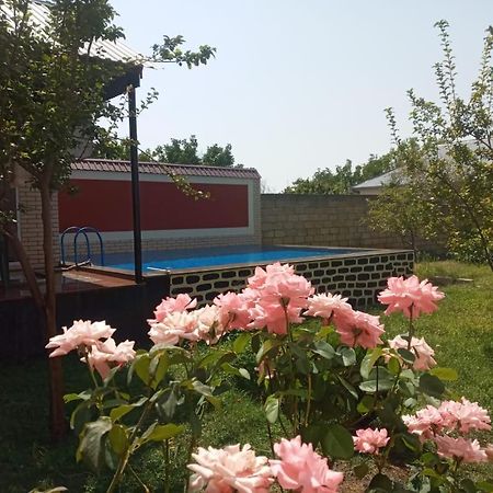 Villa Vilish 盖贝莱 外观 照片