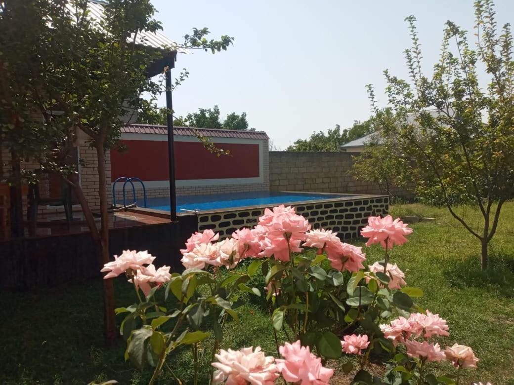 Villa Vilish 盖贝莱 外观 照片